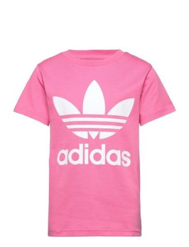 Trefoil Tee Pink Adidas Originals