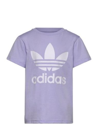 Trefoil Tee Purple Adidas Originals