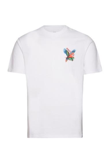 Loro S/S Stt White Brixton