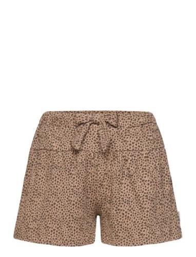 Hanny - Shorts Brown Hust & Claire