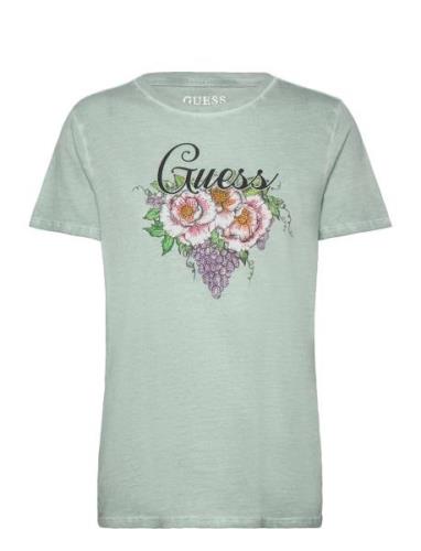 Ss Grape Vine Logo Easy Tee Green GUESS Jeans