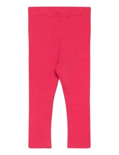 Leggings Rib Pink Minymo