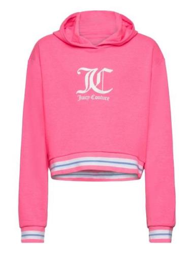 Juicy Rib Tipping Oth Hoodie Lb Pink Juicy Couture