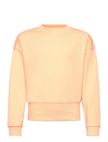 Juicy Chunky Rib Drop Shoulder Crew Lb Orange Juicy Couture