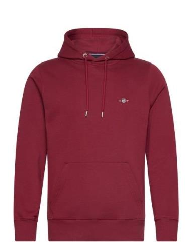 Reg Shield Hoodie Red GANT