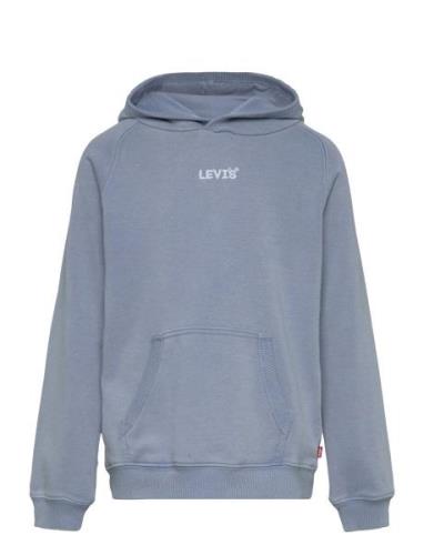 Lvb Lived-In Hoodie / Lvb Lived-In Hoodie Blue Levi's