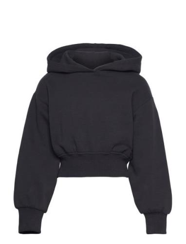 Cropped Hoody Black Tom Tailor