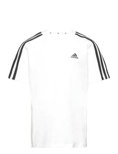 Lk 3S Co Tee White Adidas Performance