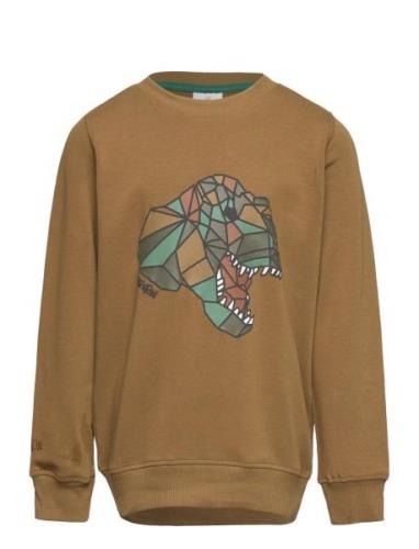 Tnlazaron Sweatshirt Brown The New