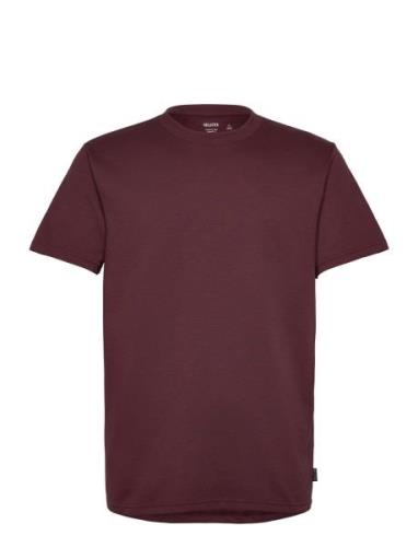 Hco. Guys Knits Burgundy Hollister