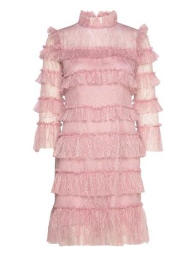 Carmine Frill Mini Lace Dress Pink Malina