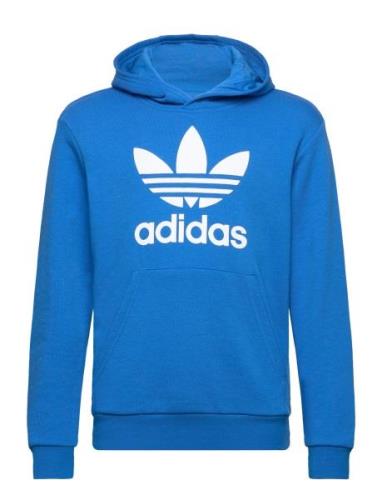 Trefoil Hoodie Blue Adidas Originals