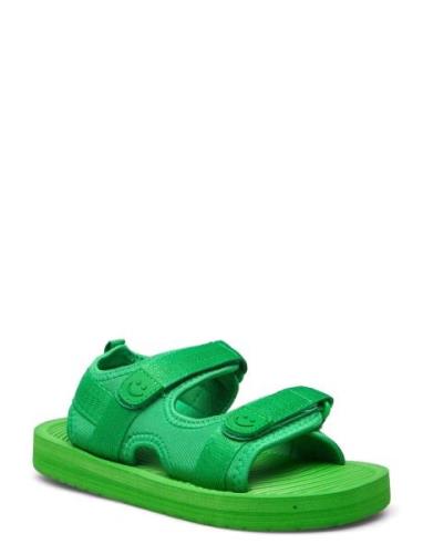 Zola Green Molo