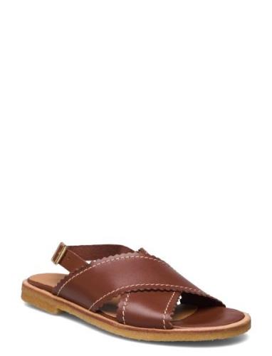 Sandals - Flat - Open Toe - Op Brown ANGULUS