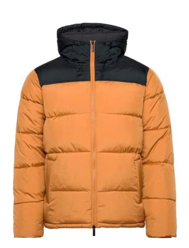 Repreve ? Puffer Color Blocked Jack Orange Knowledge Cotton Apparel