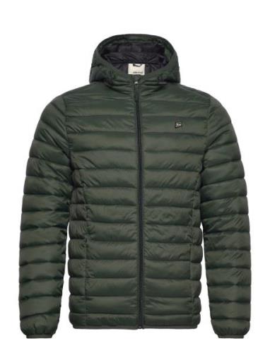 Bhromsey Hood Green Blend