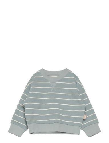 Sweat Shirt Line Blue Petit Piao