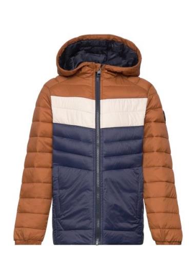 Jjesprint Puffer Hood Noos Jnr Navy Jack & J S