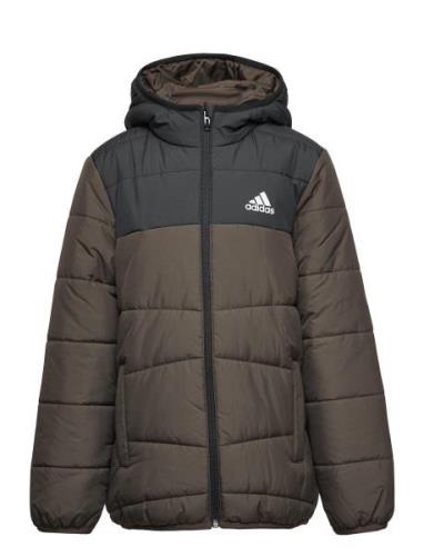 Padded Winter Jacket Brown Adidas Sportswear