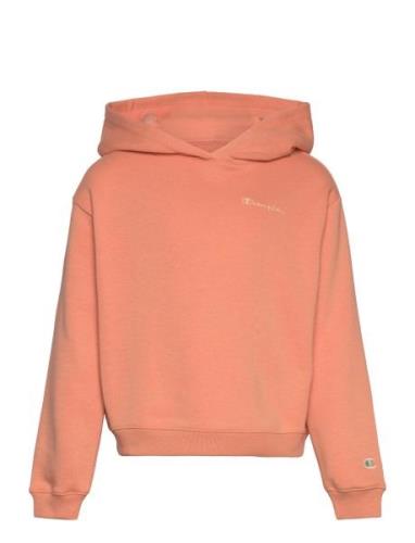 Hooded Sweatshirt Orange Champion Rochester