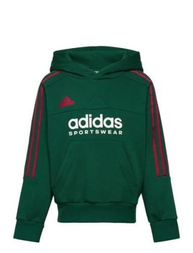 J Np Hoodie Green Adidas Sportswear