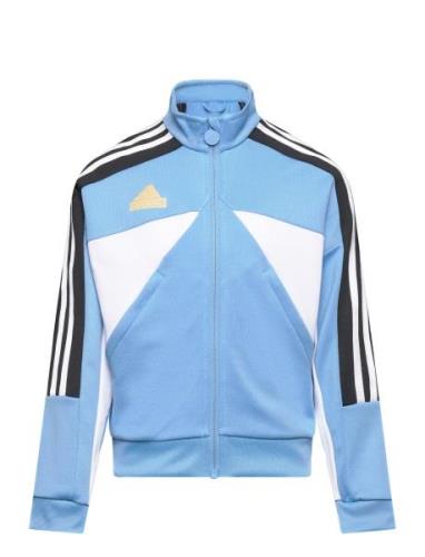 J Np Ttop Blue Adidas Sportswear