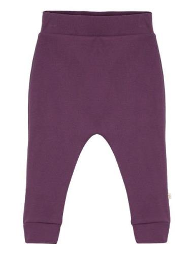 Pants Purple Smallstuff