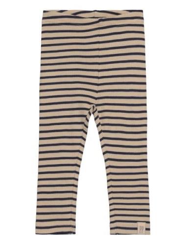 Legging Modal Striped Navy Petit Piao