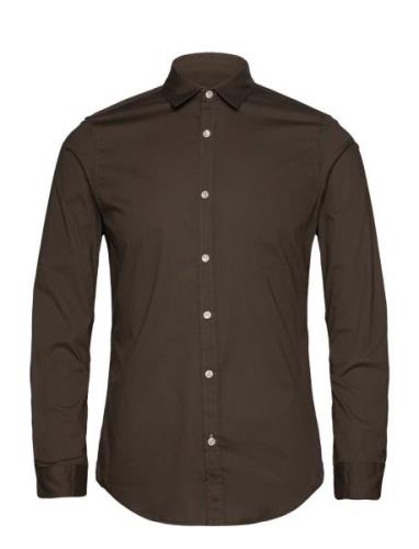 Essential Poplin Solid Brown Scotch & Soda