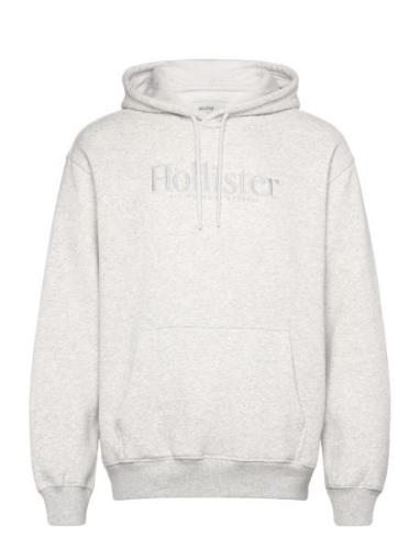 Hco. Guys Sweatshirts Grey Hollister