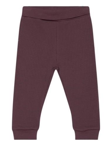 Pants Rib Burgundy Fixoni