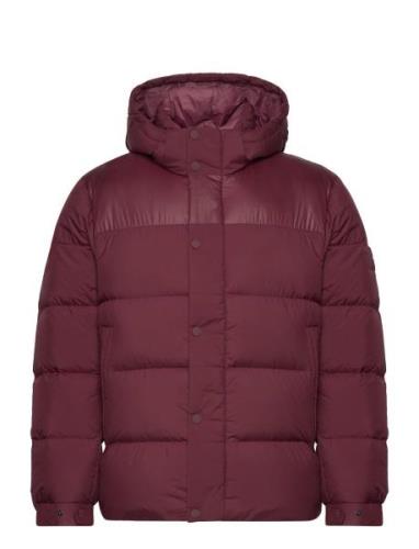 Mix Down Hooded Puffer Jacket Red Tommy Hilfiger