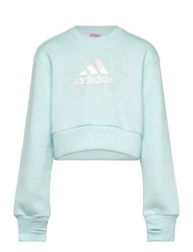 Jg Glm Crew Blue Adidas Sportswear