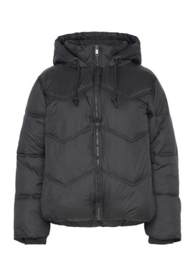 Fqshorty-Jacket Black FREE/QUENT