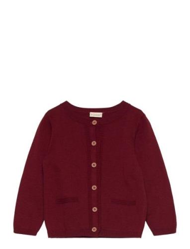 Cardigan Knit Burgundy Fixoni