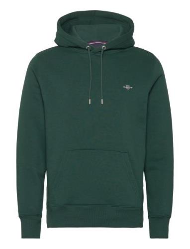 Reg Shield Hoodie Green GANT