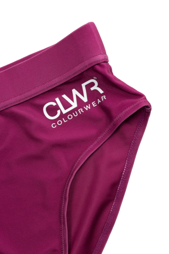 ColourWear Women's High Waist Bikini Bottom Purple