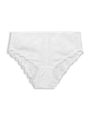 Recycled: Briefs With Lace Truse Brief Truse White Esprit Bodywear Wom...