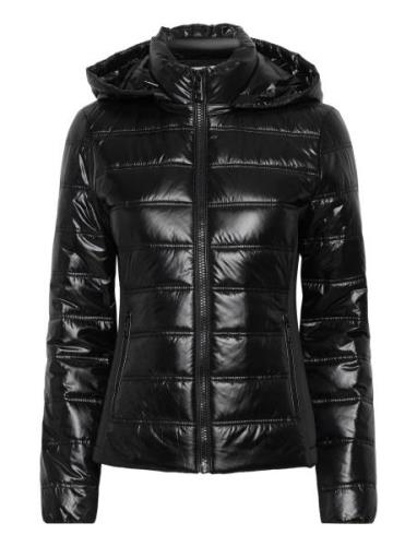 Lw Padded Waisted Nylon Jacket Fôret Jakke Black Calvin Klein