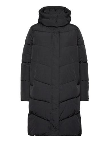 Modern Padded Coat Fôret Kåpe Black Calvin Klein