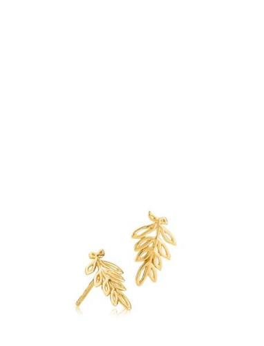 Tamara Accessories Jewellery Earrings Studs Gold Izabel Camille