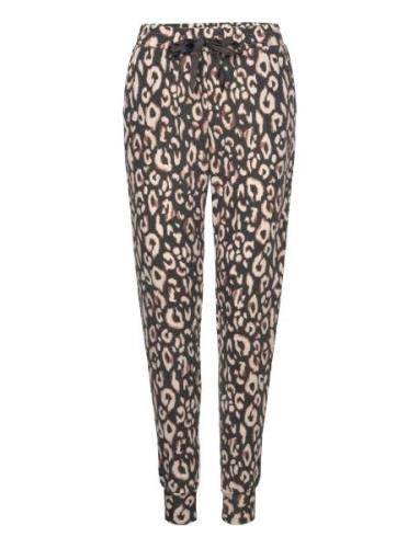 Pant Brushed Jersey Leopard Pyjamasbukser Pysjbukser Black Hunkemöller