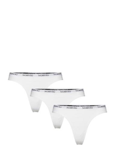 3-Pack Womens String Stringtruse Undertøy White NORVIG