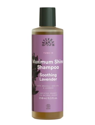 Maximum Shine Shampoo Soothing Lavender Shampoo 250 Ml Sjampo Nude Urt...