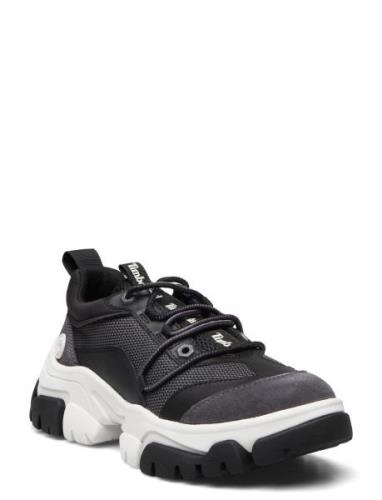 Adley Way Oxford Lave Sneakers Black Timberland