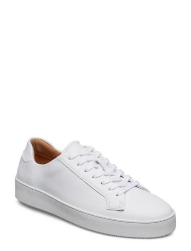 Salasi L Lave Sneakers White Tiger Of Sweden