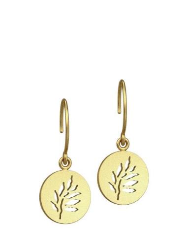 Signature Earring - Gold Øredobber Smykker Gold Julie Sandlau