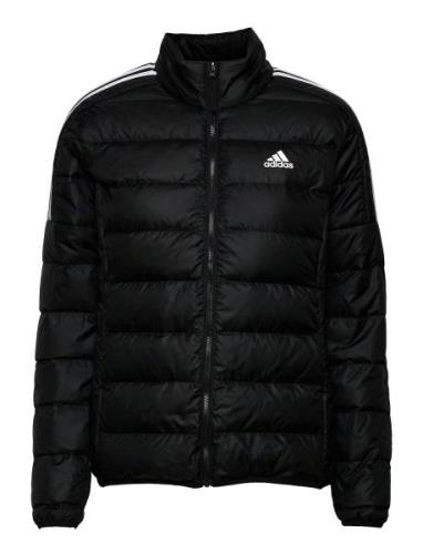 Essentials Down Jacket Fôret Jakke Black Adidas Sportswear