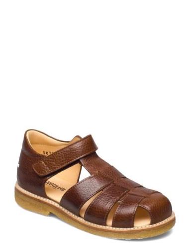 Sandals - Flat - Closed Toe Shoes Summer Shoes Sandals Brown ANGULUS