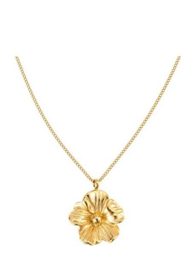 Daisy Necklace Accessories Jewellery Necklaces Dainty Necklaces Gold B...